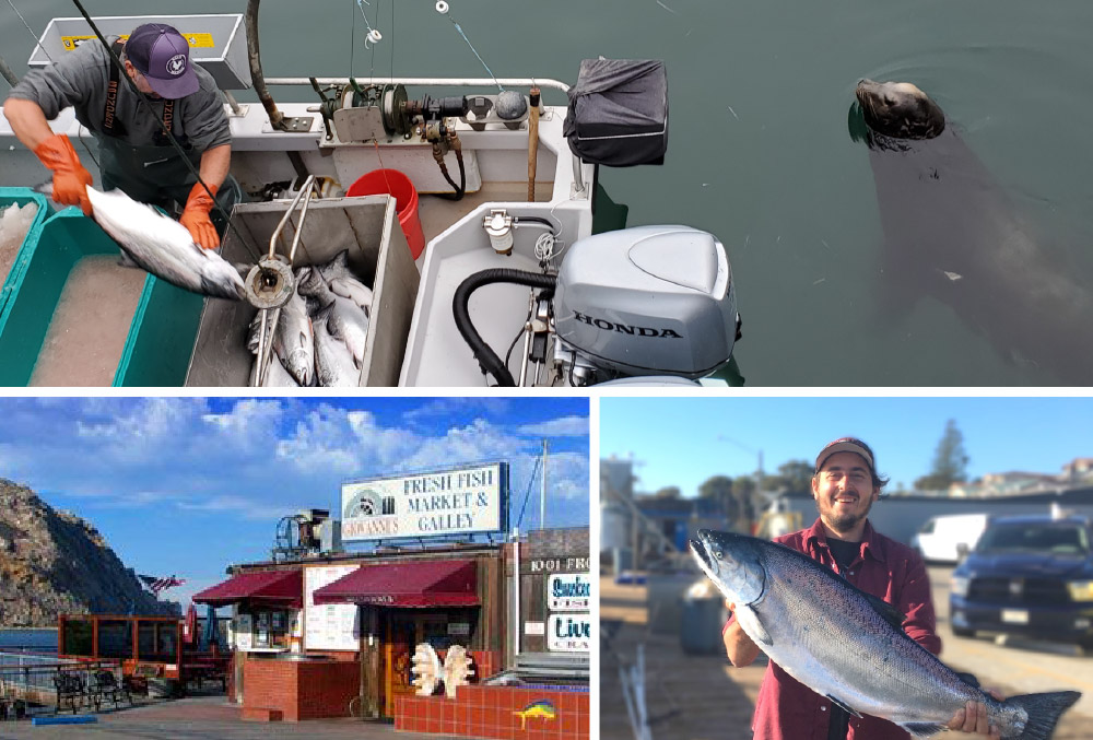 Fisherman handling freshly caught salmon aboard a fishing boat