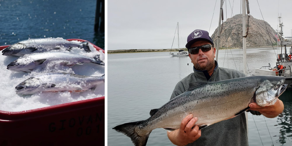 California King salmon on ice beside a fisherman holding a salmon