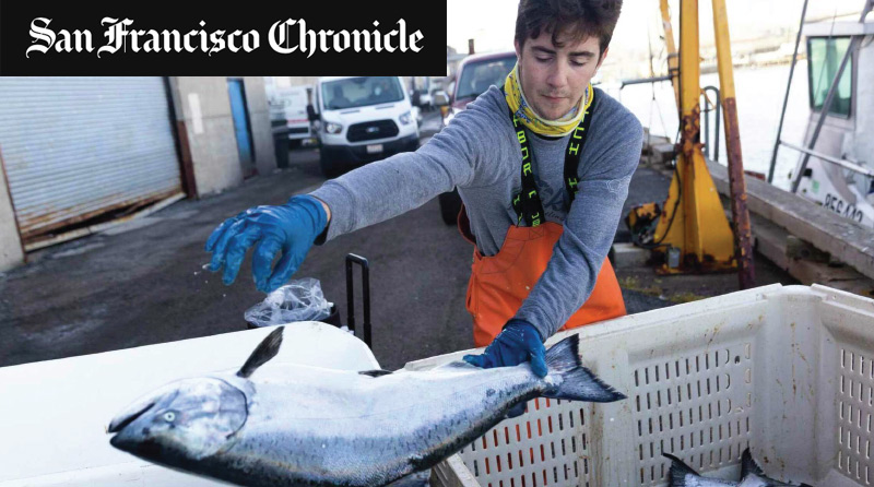 San Francisco Chronicle, person off-loading salmon