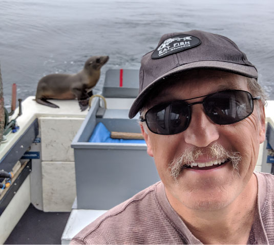 baby sea lion