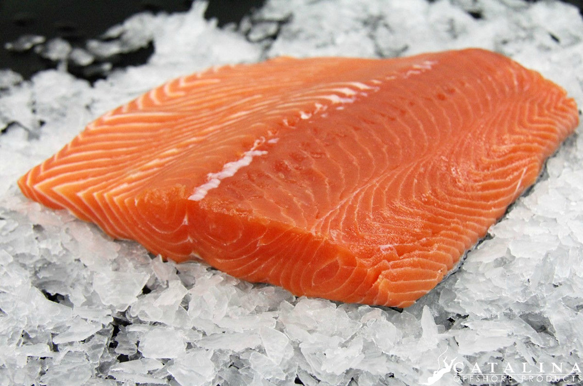 California King Salmon filet close up on ice