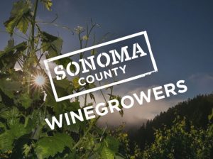 Sonoma County Winegrowers logo